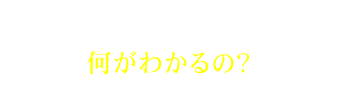 LP無料診断サービスで何がわかるの