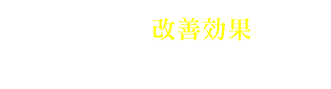 診断例と改善効果